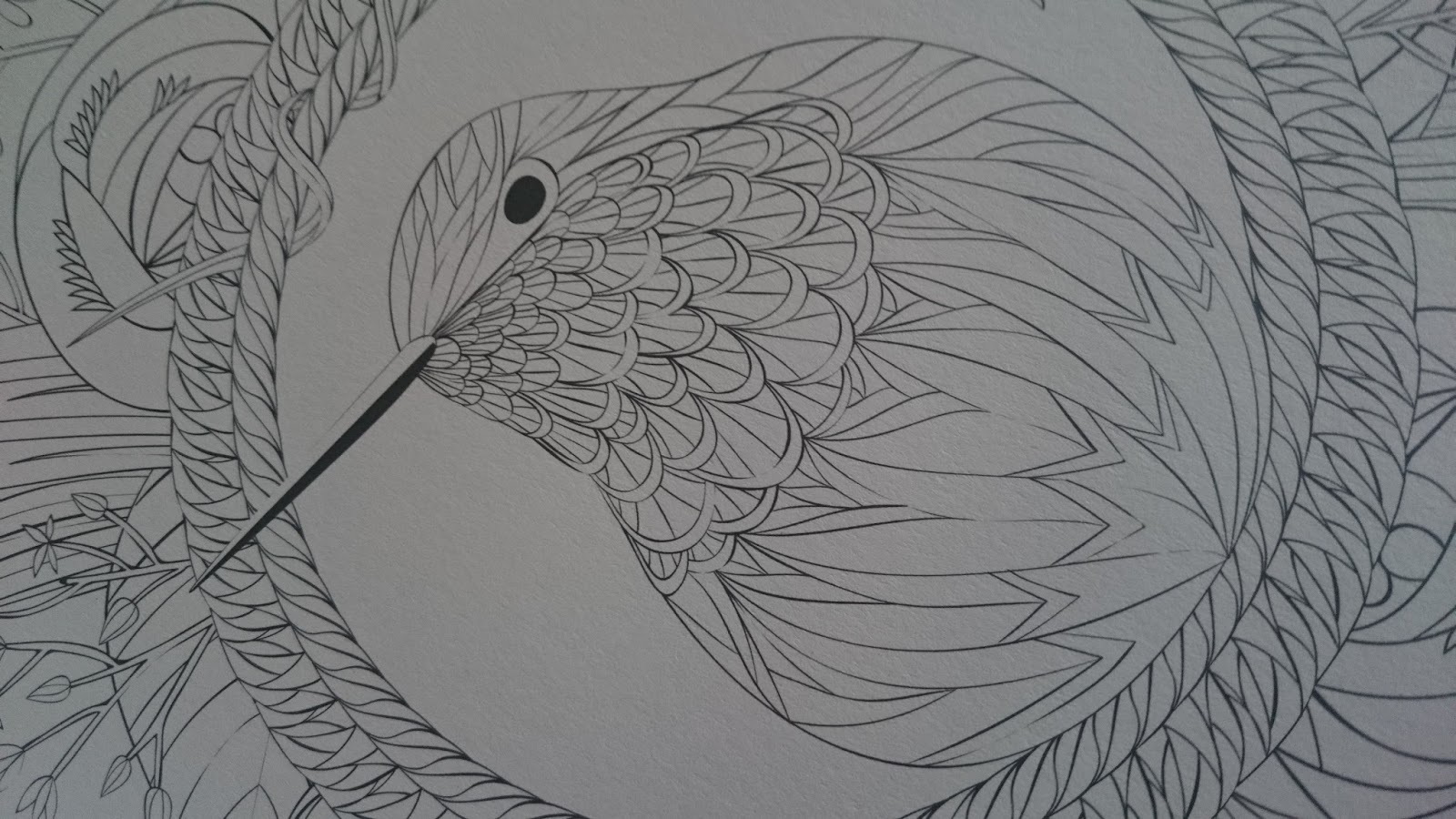 Little Birds Coloring Book ~ Lark ~ Book Review ~ Crochet Addict UK