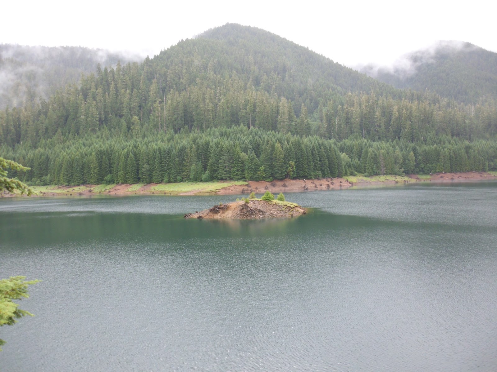 Life With Loree Drive to Westfir