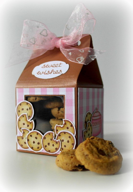 Cookie treat box Henriëtte van Mierlo