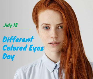 National Different Colored Eyes Day HD Pictures, Wallpapers