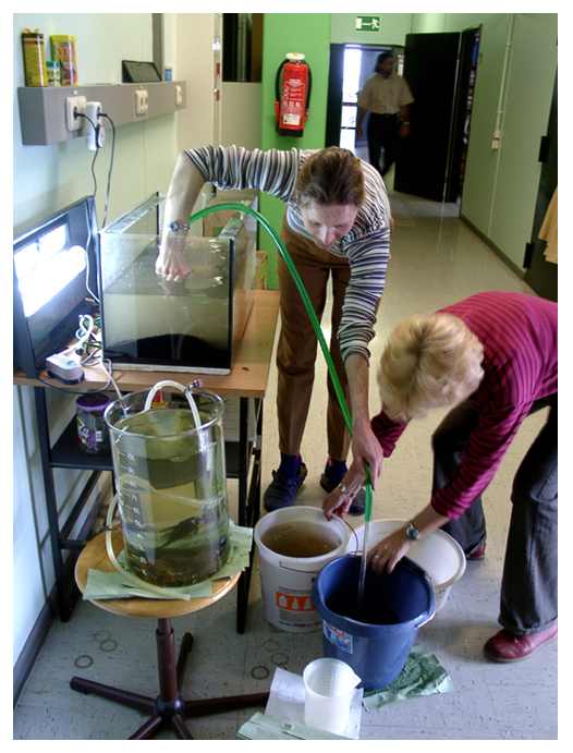 Business Ideas Small Business Ideas How to Start an Aquarium