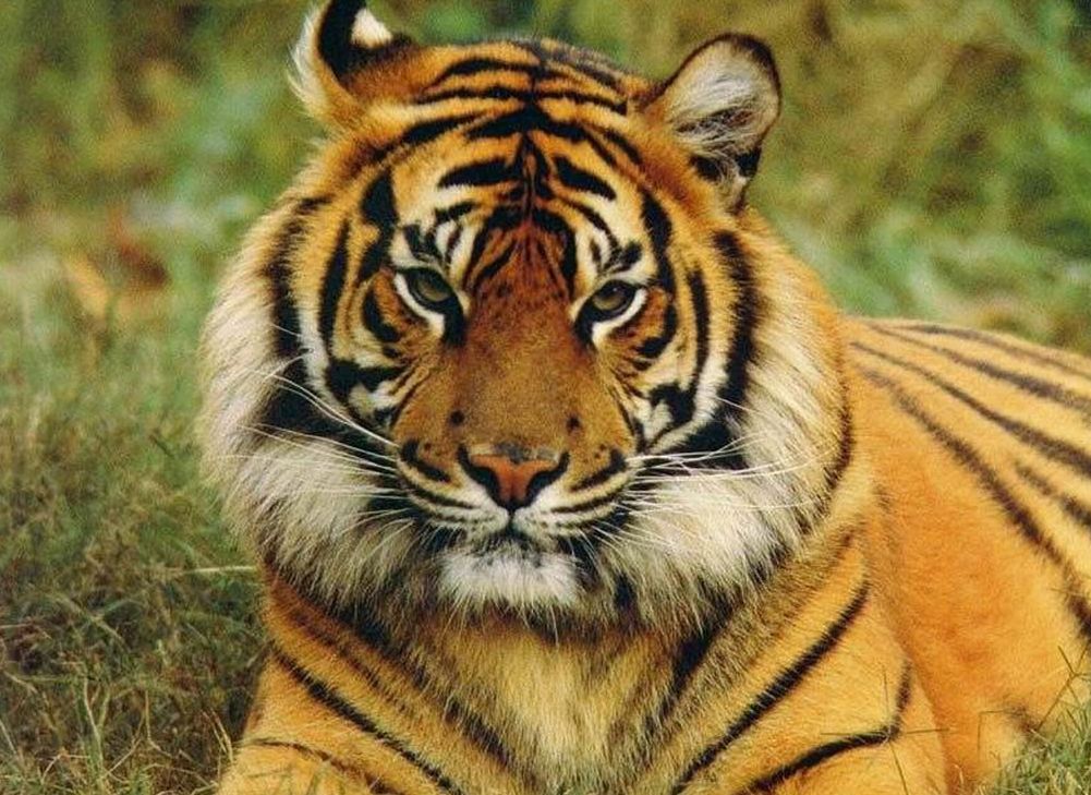 TIEMPO DE VIAJAR OBJETIVO SALVAR AL