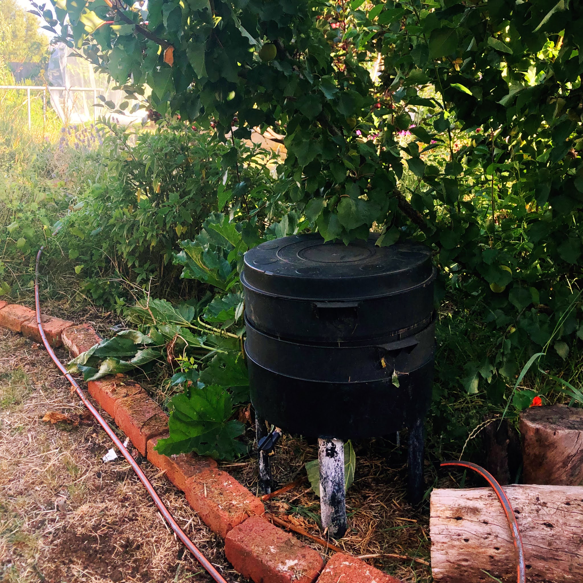 How to make a pet poo worm farm Spiral Garden