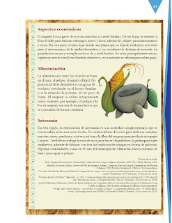 Apoyo Primaria Formación Español 3ro. Grado Bloque II Lección 4 Practica social del lenguaje 4, Elaborar un texto monográfico sobre pueblos originarios de México