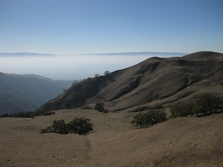 Hills on the back side of Sierra Road, with Santa Cruz mountains rising above the mist in the valley