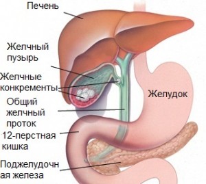 Блог о Здоровье, Теле и Жизни.: Очищение печени. Тюбаж. Метод Андреаса ...