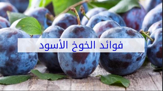 تعرف الى فوائد الخوخ الاسود واعلما باسمه في بلدكم