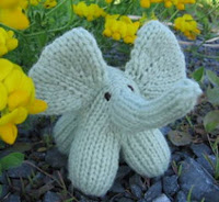 PATRON GRATIS ELEFANTE AMIGURUMI DE PUNTO 17