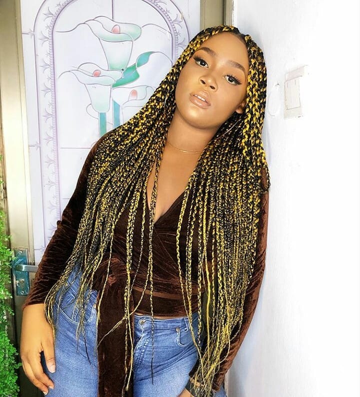 100 Best Black Braided Hairstyles You’ve Not Tried This Year | Zaineey ...