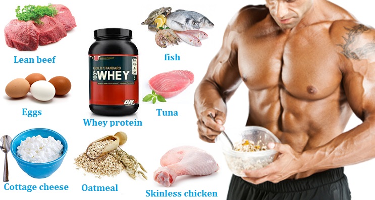 7 Top Muscle Building Nutrition Food Sources To Gain Muscle Mass ...