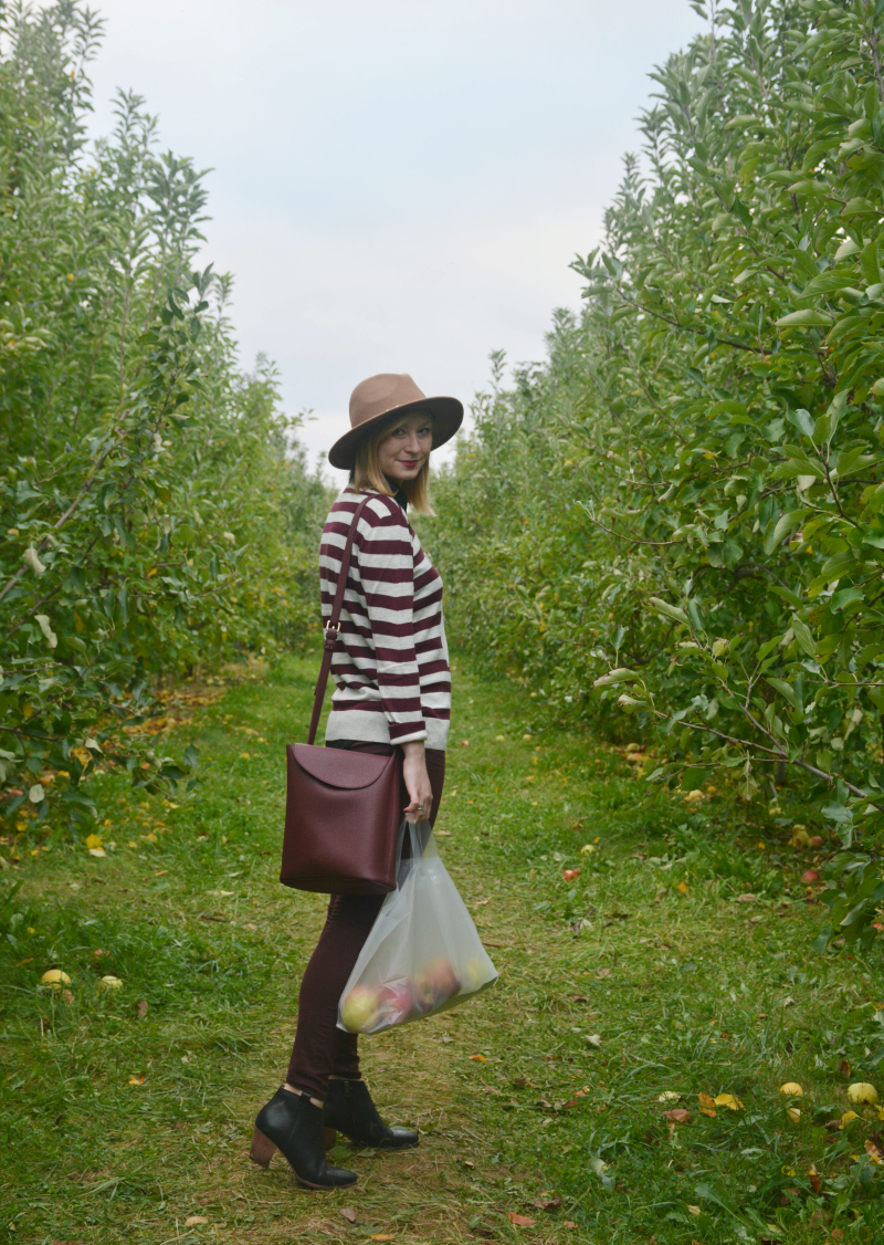 solebury orchards