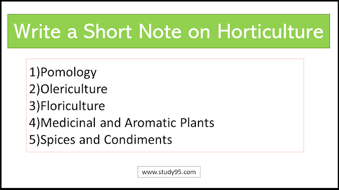 Write a Short Note on Horticulture