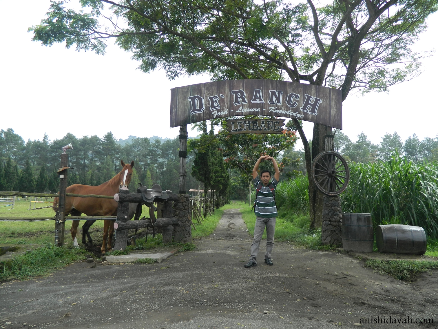 Sangpetualang De Ranch Lembang Bandung Ternyata Tak Hanya Ada Kuda Saja