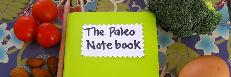 The Paleo Notebook