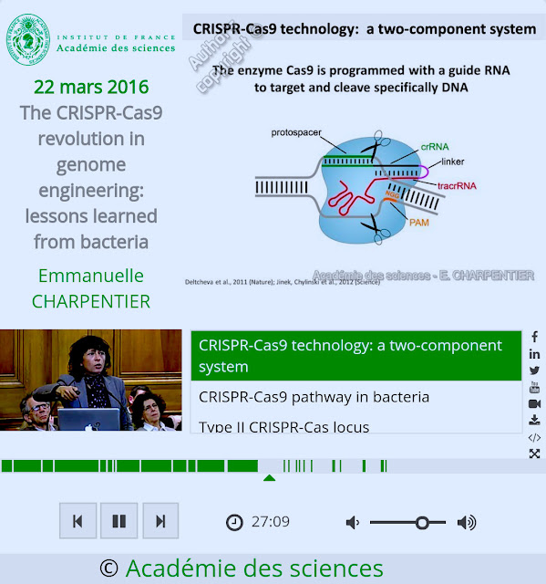 folie CRISPR-Cas9