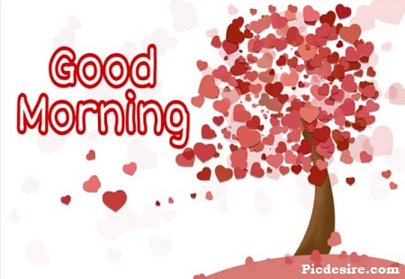 Heart Good Morning Heart Good Morning