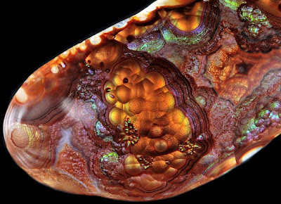 Polished Mexican fire agate