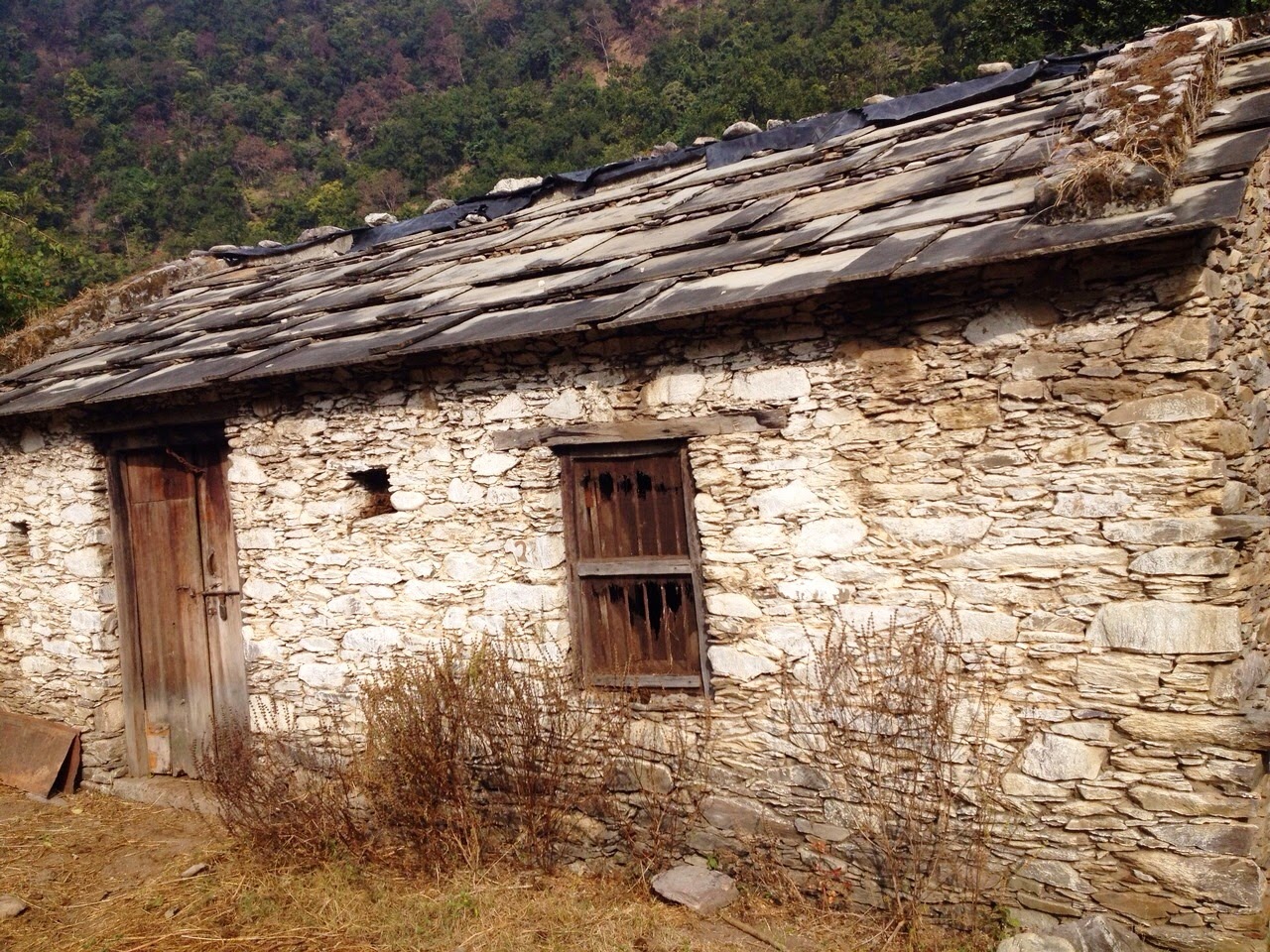 Photo of Finding Myself- Trip to Jim Corbett (Vanghat- Riverine Woods) 2/5 by Nancy Agarwal