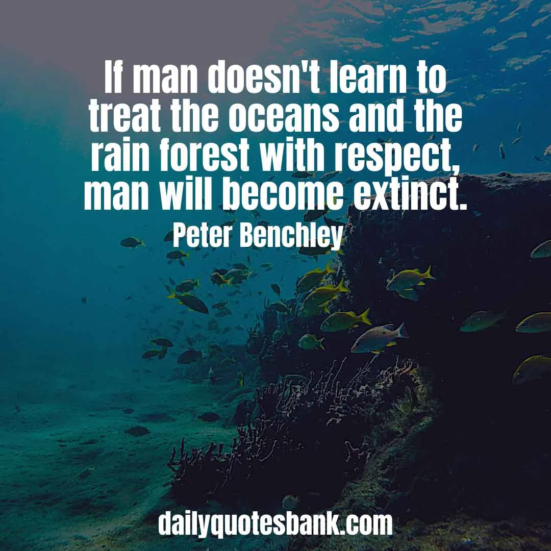 Inspirational Ocean Quotes That Will Make You Calm