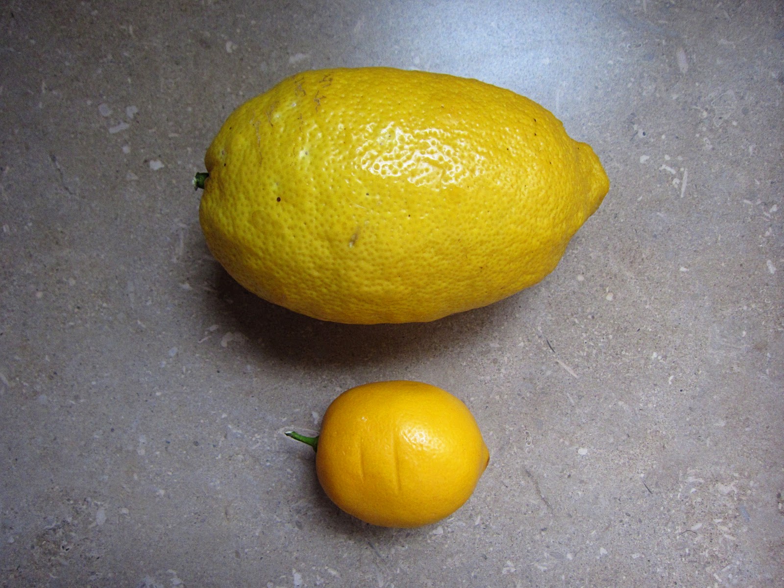 The Saucy Kitchen If life gives you (giant) lemons...