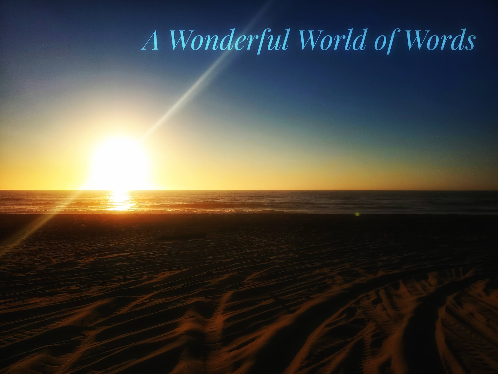 A Wonderful World of Words