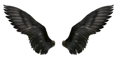 3D Portrait Dp Editing Background, PNG Download | Hunter Creation