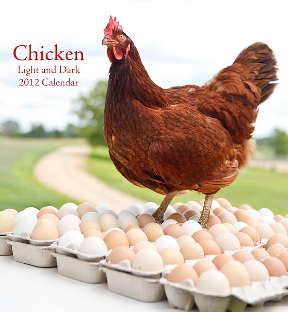 Barbara O'Brien Photography News 2012 Horse, Chicken and Barn Cat