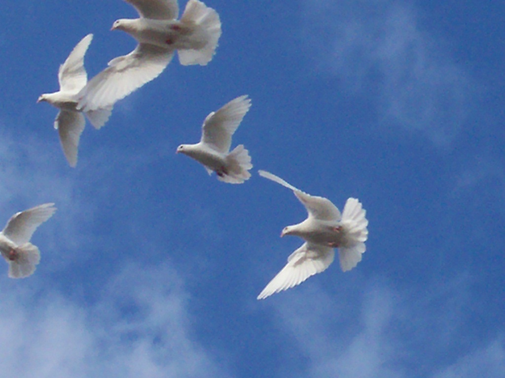 Open Europe Doves dominate as central banks show the way ahead in Europe