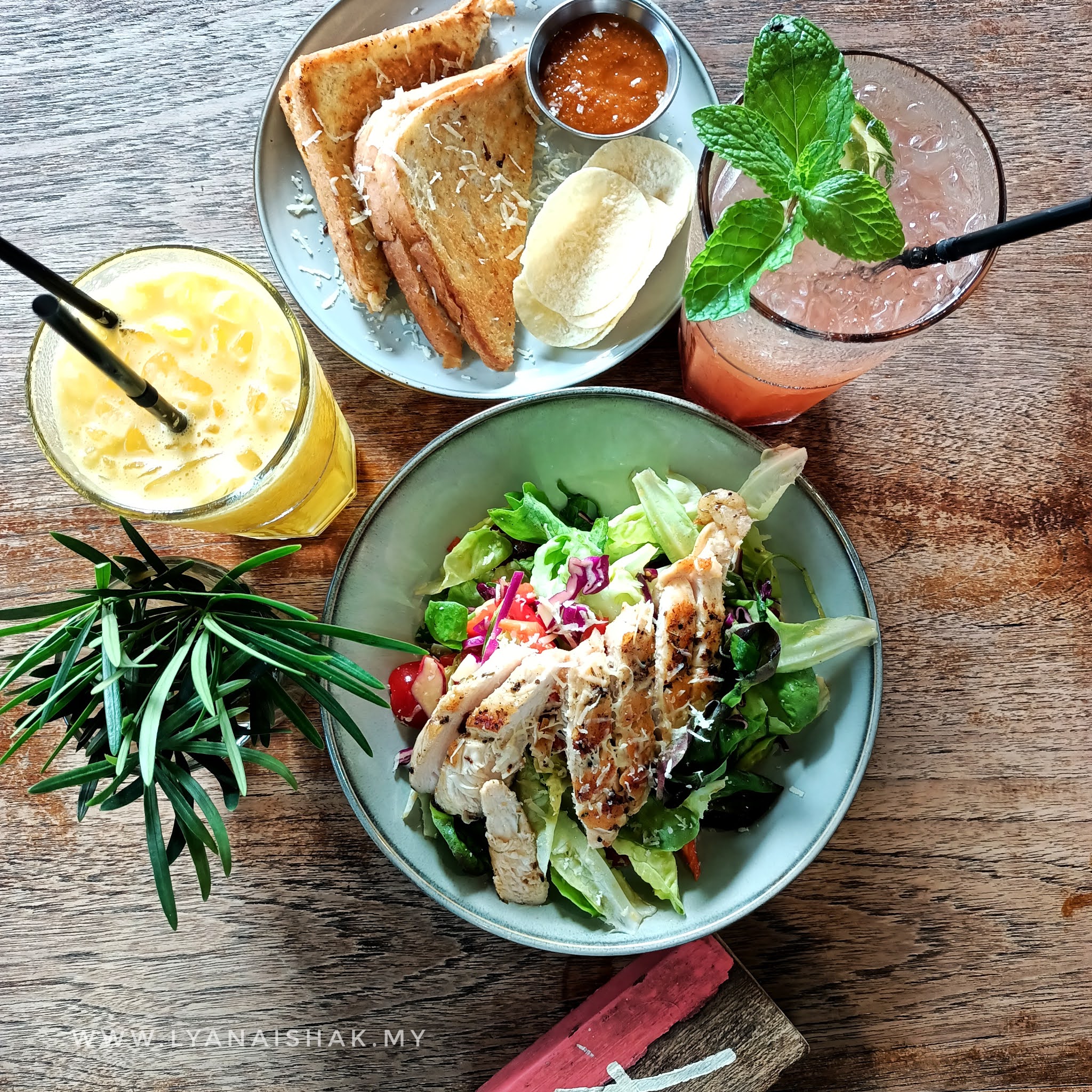 Rumah Kacha Cafe Makanan Western Halal dan Sedap di Penang Lyana Ishak