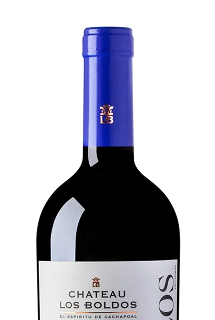 Top Sector: Grand Clos, novo vinho do Château Los Boldos, traduz  singularidades geográficas do Cachapoal Andes