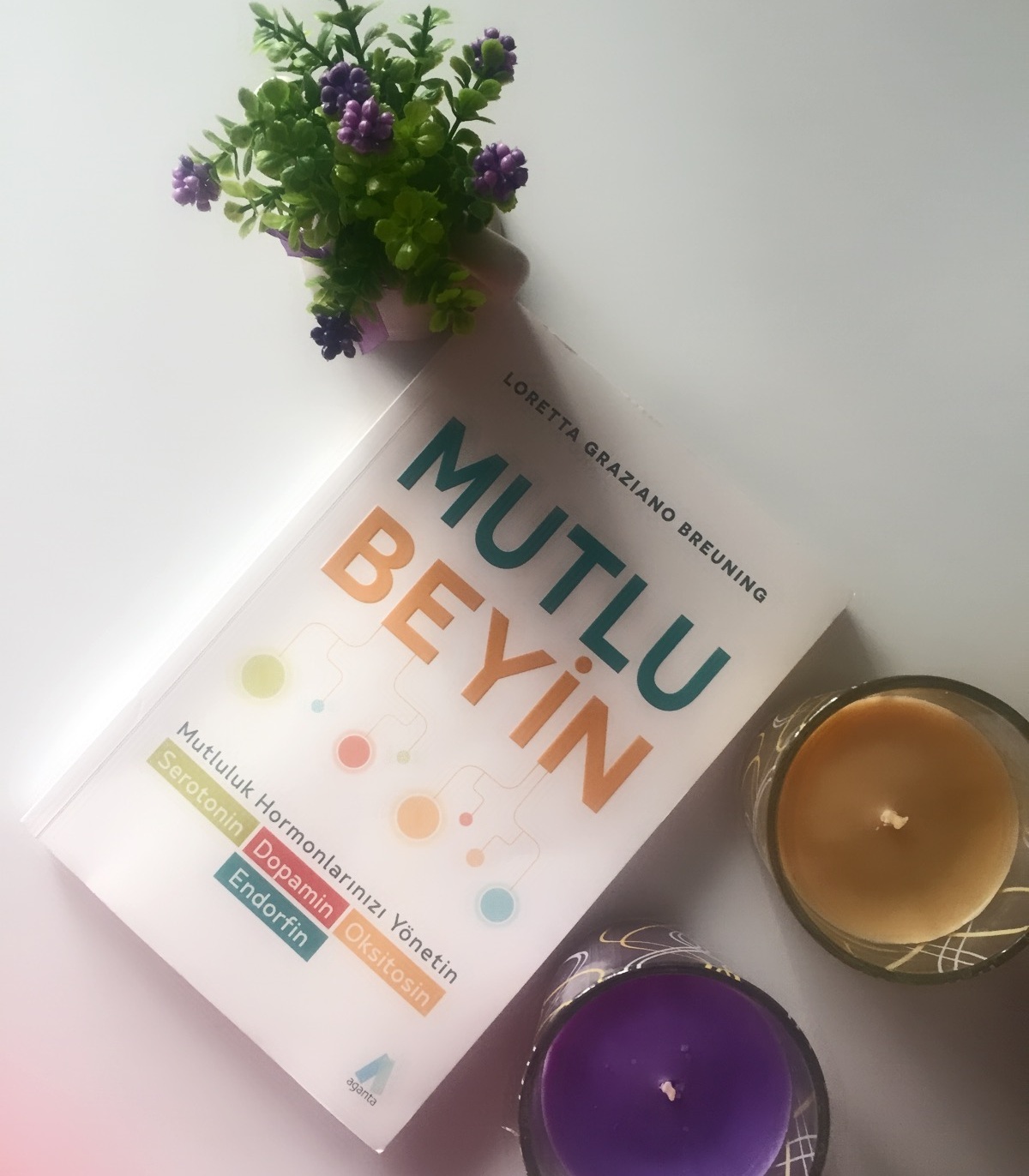 Mutlu Beyin Kitap Pdf Indir