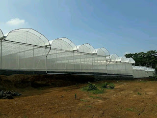 hydroponic fertigation equipment system should know water tank greenhouse
