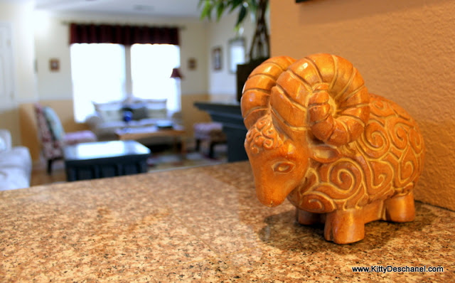 fun home decor accents