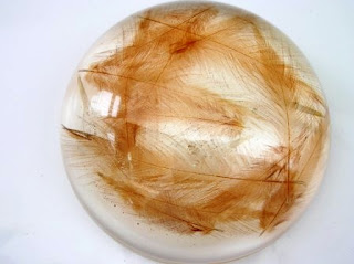 Feathers suspended within a paperweight