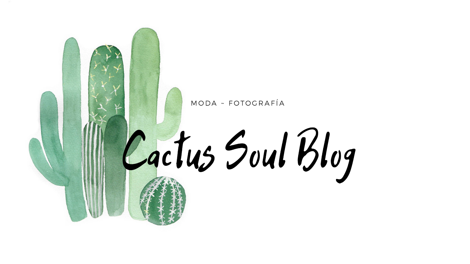 My Cactus Soul