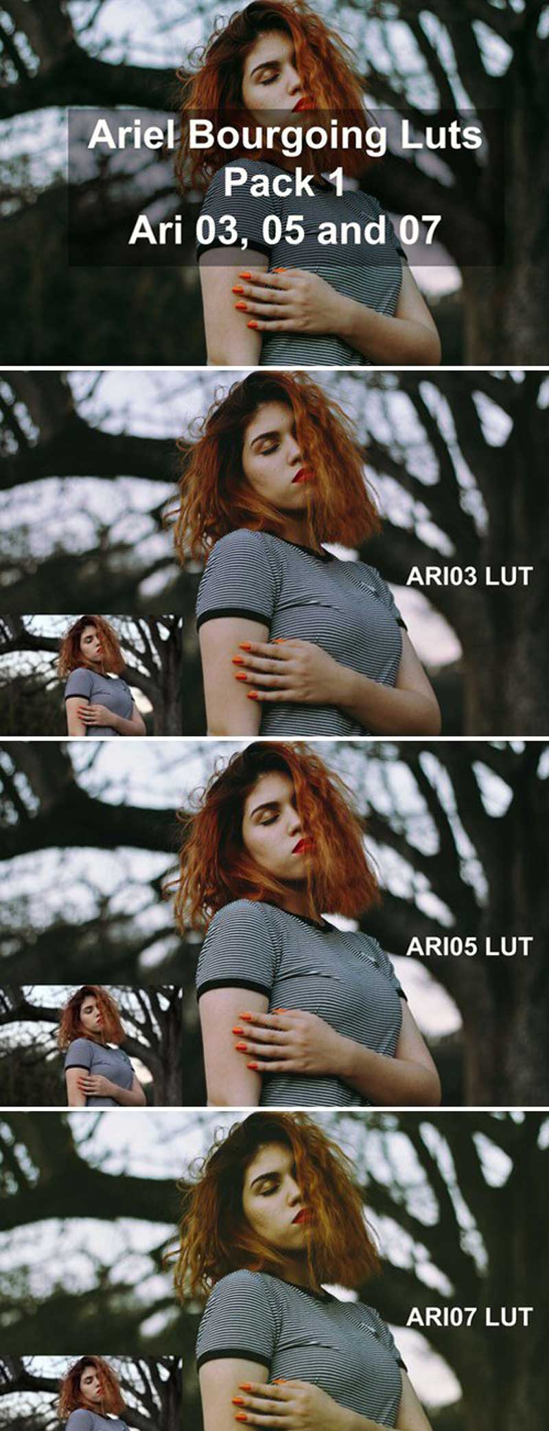 CM - Ariel Bourgoing Luts Pack 1994632 2 xcbx