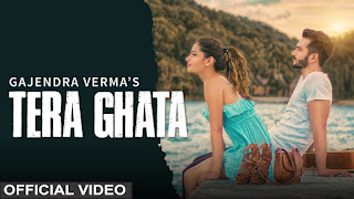 Tera Ghata Lyrics in Hindi Tera Ghata Lyrics in Hindi