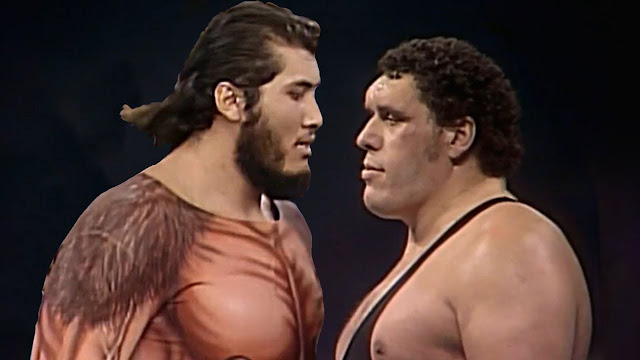 10 Interesting Facts About Wrestling Legend Andre the Giant ~ Vintage Everyday