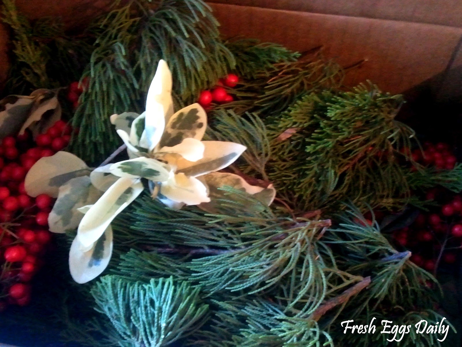 Christmas Star Wreath Made with Coat Hangers and Chicken Wire | Fresh ...