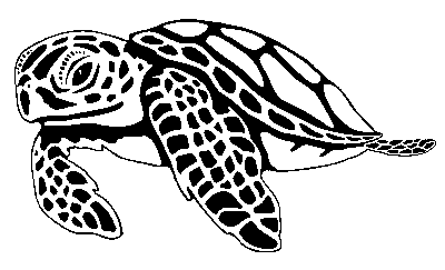 turtle free printable coloring pages coloring.filminspector.com