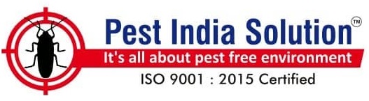 Pest control service in Mumbai, Navi Mumbai and Thane