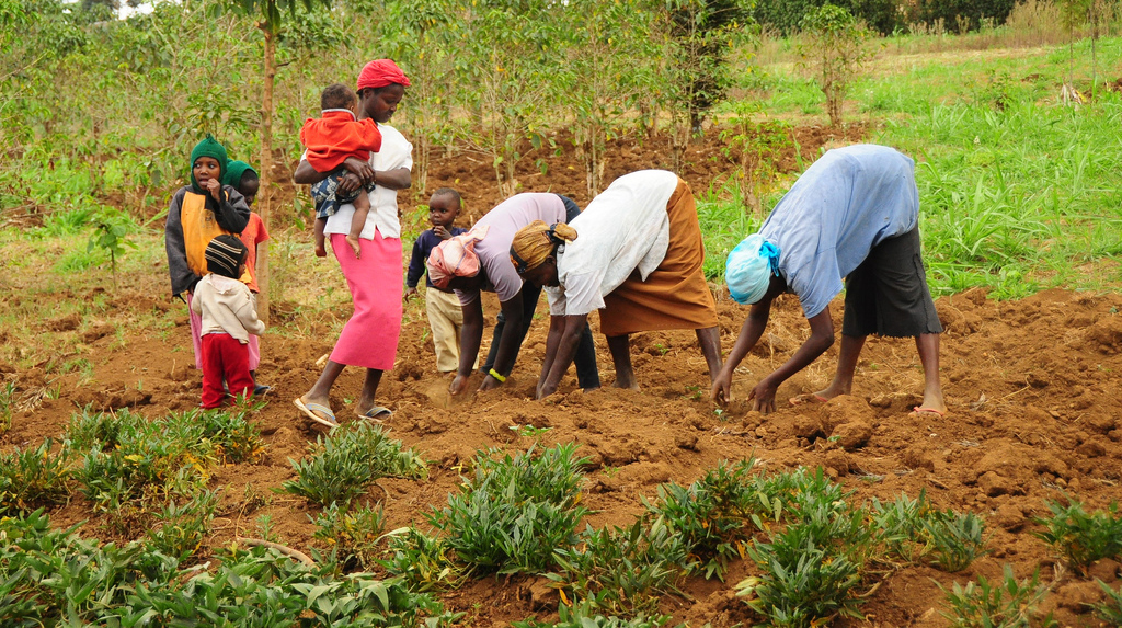 AgriHunt Rwanda Modern Agriculture to Help Trade Imbalance