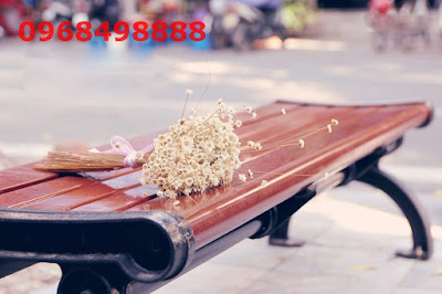 Ghế công viên không tựa màu nâu trầm kiểu dáng hiện đại, thơ mộng