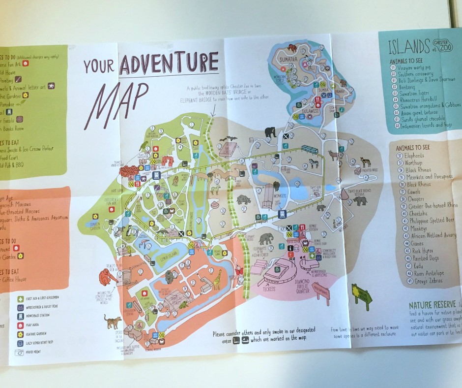 Visiting Chester Zoo Milieu