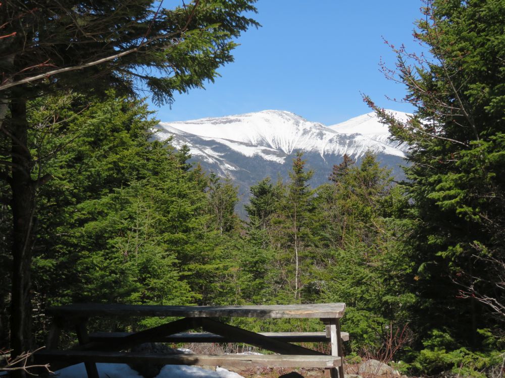 Outdoor Diversion Hall's Ledge Trail and Hutmen's Trail Loop Hike