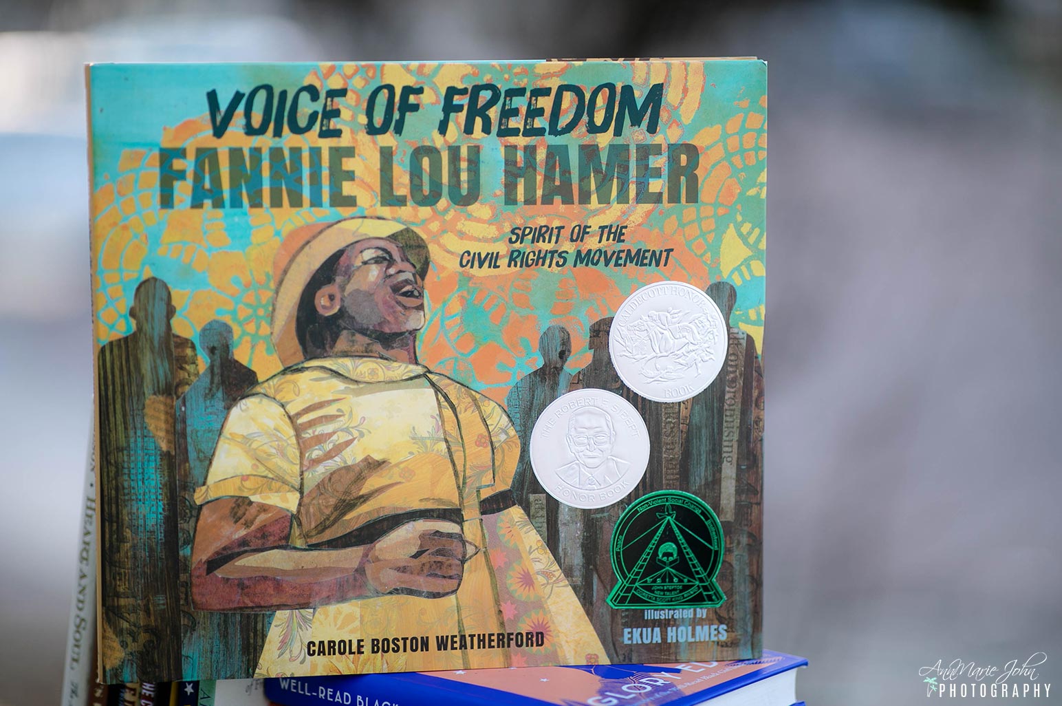 Voice of Freedom Fannie Lou Hamer