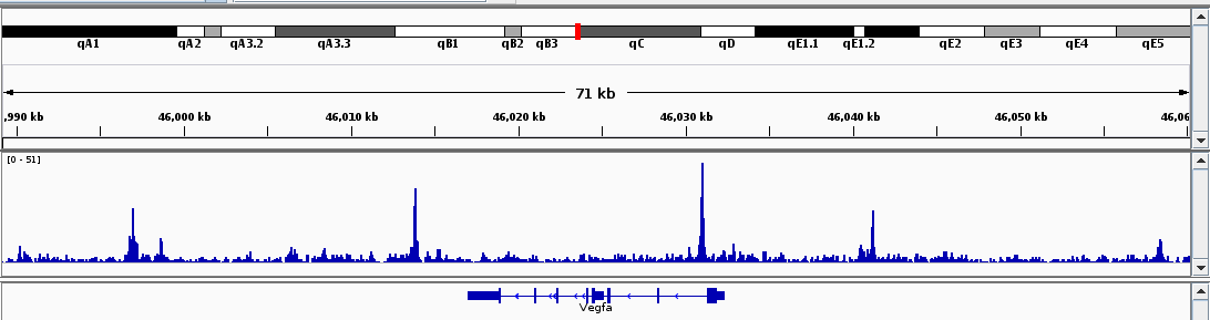 Diving into Genetics and Genomics: ChIP-exo data analysis