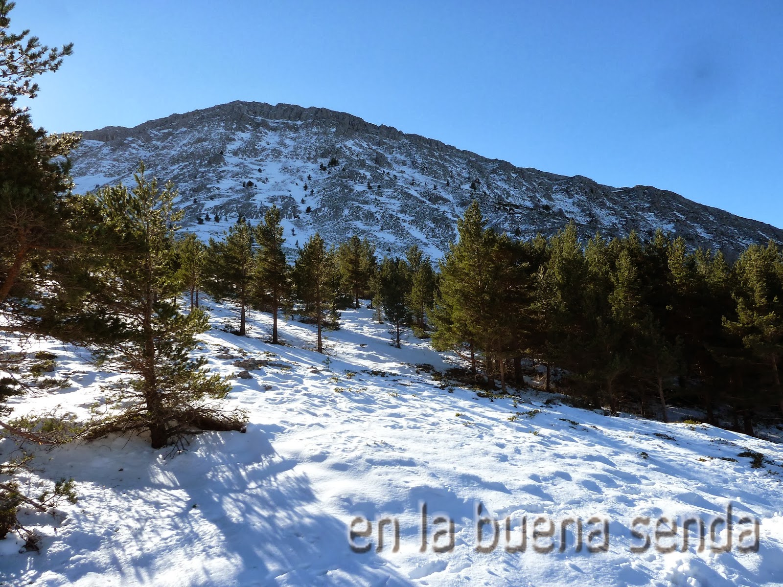 en la buena senda El pinar de Velilla