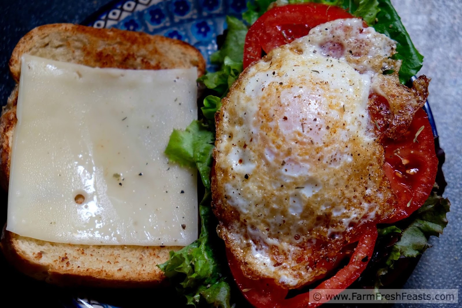 Farm Fresh Feasts Fried Egg Lettuce And Tomato Grilled Cheese Sandwich