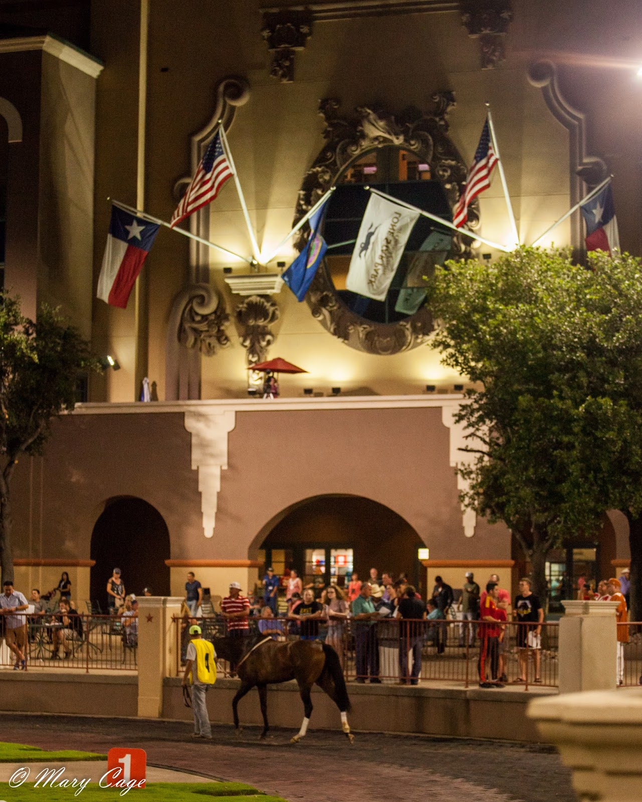 2016 Lone Star Park Meet in Photos